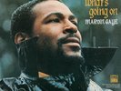 Marvin Gaye - What's Going on | 180 Gram LP | Legendary Album