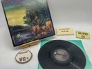 Fleetwood Mac- Tango In The Night VG+/EX Ultrasonic Clean 1987 Vinyl Record