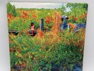 Jhene Aiko “Trip” Limited Edition, Translucent Orange Vinyl, Double LP.