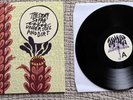 The Story So Far Under Soil and Dirt Vinyl LP Black Pop Punk Pure Noise