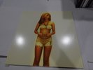 Devon Hendryx The Rockwood Escape Plan Vinyl RARE