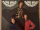 JIMI HENDRIX EXPERIENCE: Are You Experienced? Track Records 1967 Vinyl LP VG/VG