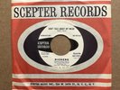 Dickens Don’t Talk About My Music RARE NRBQ Brown Acid Scepter Promo 45rpm