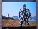 LP PINK FLOYD Delicate Sound Of Thunder 2LP, 1st. EU, 1988, MINT-