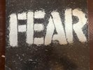 Fear The Record Punk Rock LP Vinyl Slash Records 1982