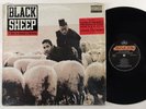 Black Sheep 