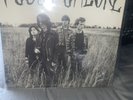 Pussy Galore Groovy Hate Fuck Vinyl Single 12inch NEAR MINT Shove Records