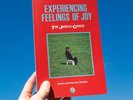 The Jungle Giants Experiencing Feelings of Joy (Vinyl) 12