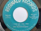 TRADEMARQUES I Can Set You Free/Free Your Fears SOUL FUNK BREAKS 45 *hear*