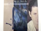 BRIAN WILSON Self-Titled 2xLP Sire Rhino 2015 Blue Swirl Vinyl Limited RSD NM