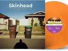 Skinhead It's a Beautiful Day, What a Beautiful Day (Vinyl)