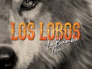 Los Lobos - La Bamba (Transparent Orange Vinyl) New Sealed Vinyl LP Music Mint
