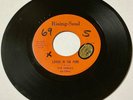 Fidelics SWEET SOUL 45 Lovers In The Park  I Love You Baby RISING SOUL VG++ HEAR
