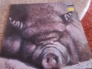 Kin Ping Meh No2 - Vinyl - Original Zebra Records - inkl. Zebra Innersleeve