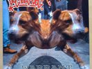 Dog Eat Dog - Warrant LP Vinyl 1993