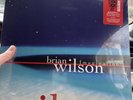BRIAN WILSON IMAGINATION LP RSD 2026 RECORD STORE DAY IN HAND BEACH BOYS