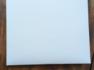 The Beatles White Album, mono, vinyl, 2025, mint, not sealed but unplayed