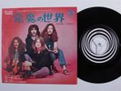 Hard Rock 45 BLACK SABBATH Wicked World VERTIGO japan picture sleeve j