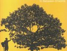 JOHNSON, Jack - In Between Dreams (reissue) - gatefold heavyweight vinyl LP