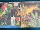 LONNIE LISTON SMITH   Exotic Mysteries LP & Loveland LP shrink jazz funk