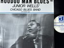 Junior Wells, Buddy Guy Hoodoo Man Blues Delmark Records DS-612 Vinyl LP 1974 NM