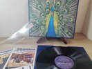The Bluetones - Expecting To Fly - Numb Ltd Ed Sleeve Slipcase & Booklet - EX EX