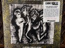 THE SNAKE CORPS Flesh on Flesh LP Album RSD 2026 LE Clear Vinyl Post Punk