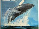 Songs Of The Humpback Whale US '70 black vinyl 12