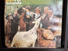 The Beach Boys: Pet Sounds 1966 Original L.A. Press MONO Vinyl LP T-2458 s