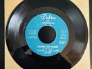Ralphie & The Latin Lovers - 