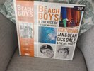 THE BEACH BOYS & THE RISE OF THE SURF MOVEMENT 2 LP RARE  VINYL & CD  DELP3001