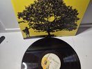 Jack Johnson – In Between Dreams (2005) LP Vinyl – NEAR MINT – RARE OG PRESSING