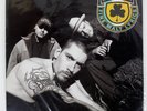 HOUSE OF PAIN FINE MALT LYRICS XL RECORDINGS XLLP111 UK ORIGINAL VINYL LP