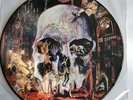 SLAYER South Of Heaven Very Rare Vinyl Album Picture Disc Unplayed