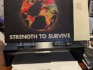 SOJA – Strength To Survive 2xLP Reggae Dirty Heads Stick Figure Rebelution
