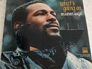 Marvin Gaye 1971 Original Pressing / Of What's Going On