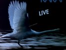 Karat - Live 2LP (VG) ..