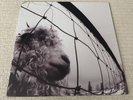 Pearl Jam Vs. LP 180 Gram Vinyl NM 2011 Reissue