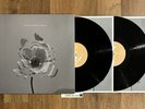 The Naked and Famous In Rolling Waves vinyl record Rare Out of print