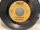 THE CLEANERS GARAGE BAND HOW I FEEL / IF YOU WANT ME RARE 1966 KNIGHT RECORDS EX