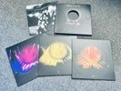 Pink Floyd Delicate Sound Of Thunder 3LP 180G Vinyl Box Set