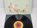 Steely Dan Countdown To Ecstasy LP  ABCX-779 MCA RECORDS PROMO Gold Stamped NM
