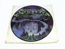 Metallica Creeping Death Vinyl Record 1984 Vinyl 12