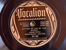 Vocalion 03188 Mississippi Sheik SITTIN ON TOP OF THE WORLD Delta Blues  78rpm E