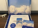 United Airlines 100 Rhapsody In Flight Air Zoetrope Blue Vinyl LP Record New