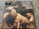 Interpol Our Love To Admire on Limited Edition Blue Vinyl LP Record MINT SEALED