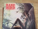 Rare Bird - Sympathy - Charisma CS 4 - VG+