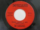 The Fantastics 45 Rpm Record Where There's a Will Houston Texas Northern Soul
