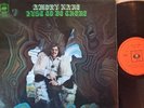 AMORY KANE  - 