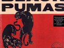 BLACK PUMAS BLACK PUMAS LP VINYL 10 track super deluxe edition double LP on gold